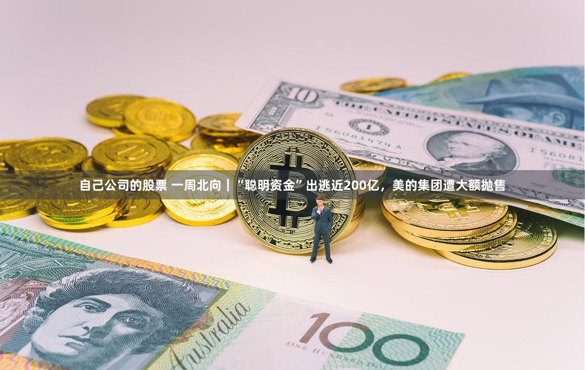 自己公司的股票 一周北向｜“聪明资金”出逃近200亿，美的集团遭大额抛售