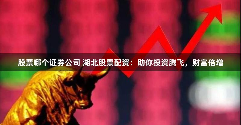 股票哪个证券公司 湖北股票配资：助你投资腾飞，财富倍增
